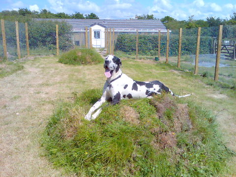 Hector Feeling Very Proud