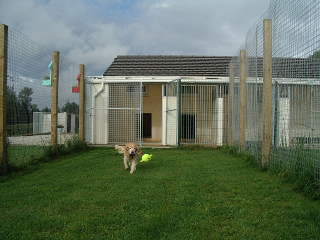 Roly enjoying the Grassy Garden 